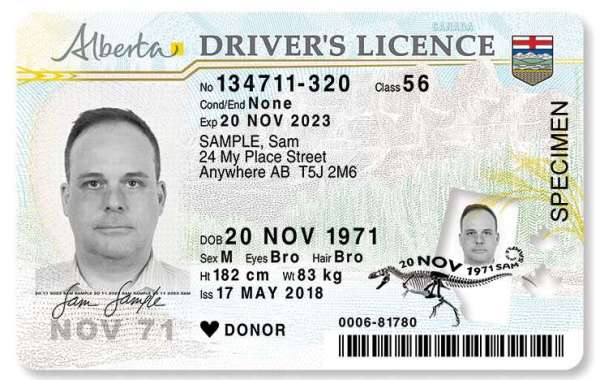 Buy Real Drivers License Without an Exam in 5 days