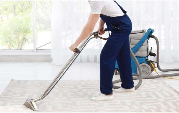 Why Consistent Carpet Cleaning Is Essential for Home Wellness