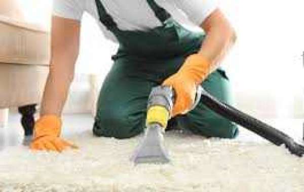 Creating a Comfortable and Healthy Home with Professional Carpet Cleaning