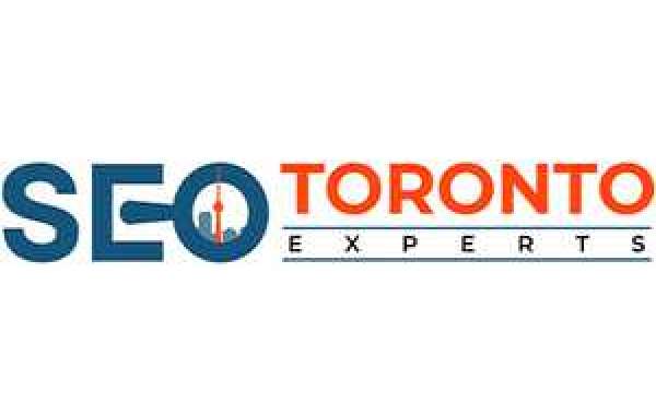 Enterprise SEO Services | SEO Toronto Experts